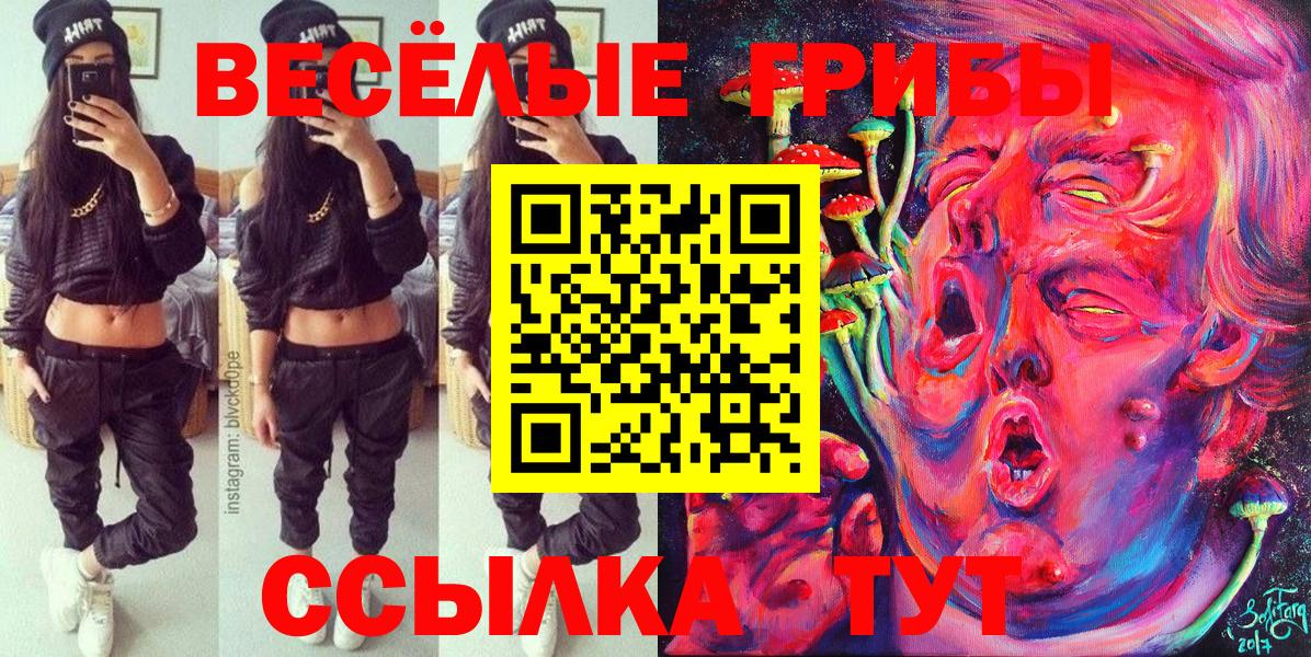 Псилоцибиновые грибы мицелий  Вход с VPN  Михайловка 
